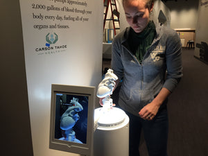 understand at the discovery museum's new Inside Out, an Anatomy Experience exhibit