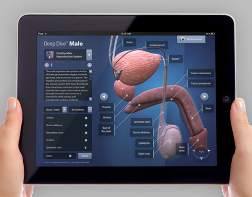 person holding ipad looking at male deep dive