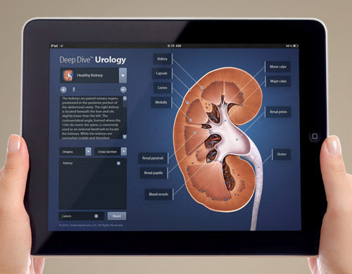 Deep Dive™ Urology Released by Understand.com® to Educate Patients and Healthcare Professionals on the Complete Urinary System