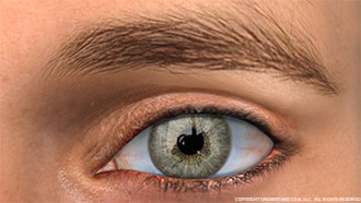 Eye Male Image