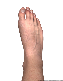 Foot Male Right Dorsal Image