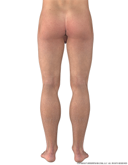 Lower Body Male Posterior Image