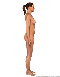Body Female Right Lateral Image