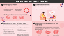 Load image into Gallery viewer, Understanding Treatment for PANS and PANDAS Poster