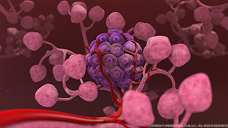 Islet Cell Image