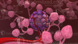 Islet Cell Image