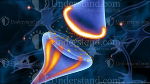 Neuron and Receptor Image