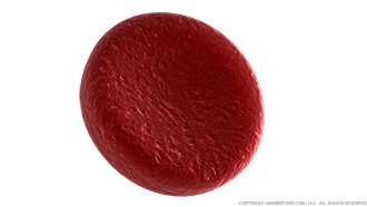 Red Blood Cell Image