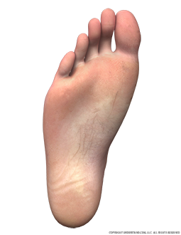 Bottom of right foot 2025