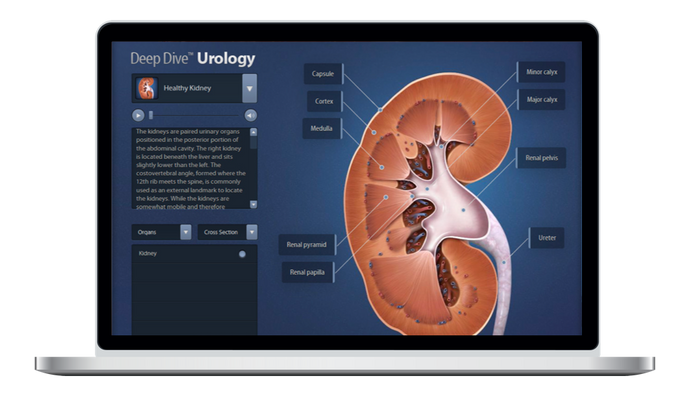 Urology Deep Dive<span class='registered-icon'>®</span>