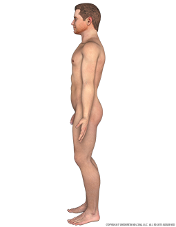 Body Male Left Lateral Image