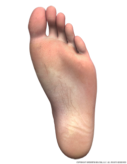 Foot Male Left Plantar Image